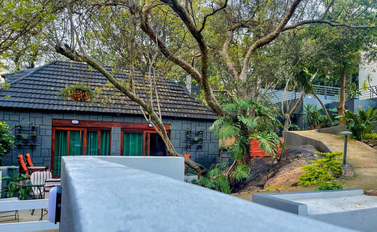 Amoris Guest House-Randburg Johannesburg Exteriér fotografie